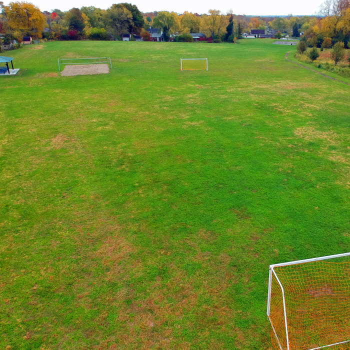 Soccer field and Volley Gall